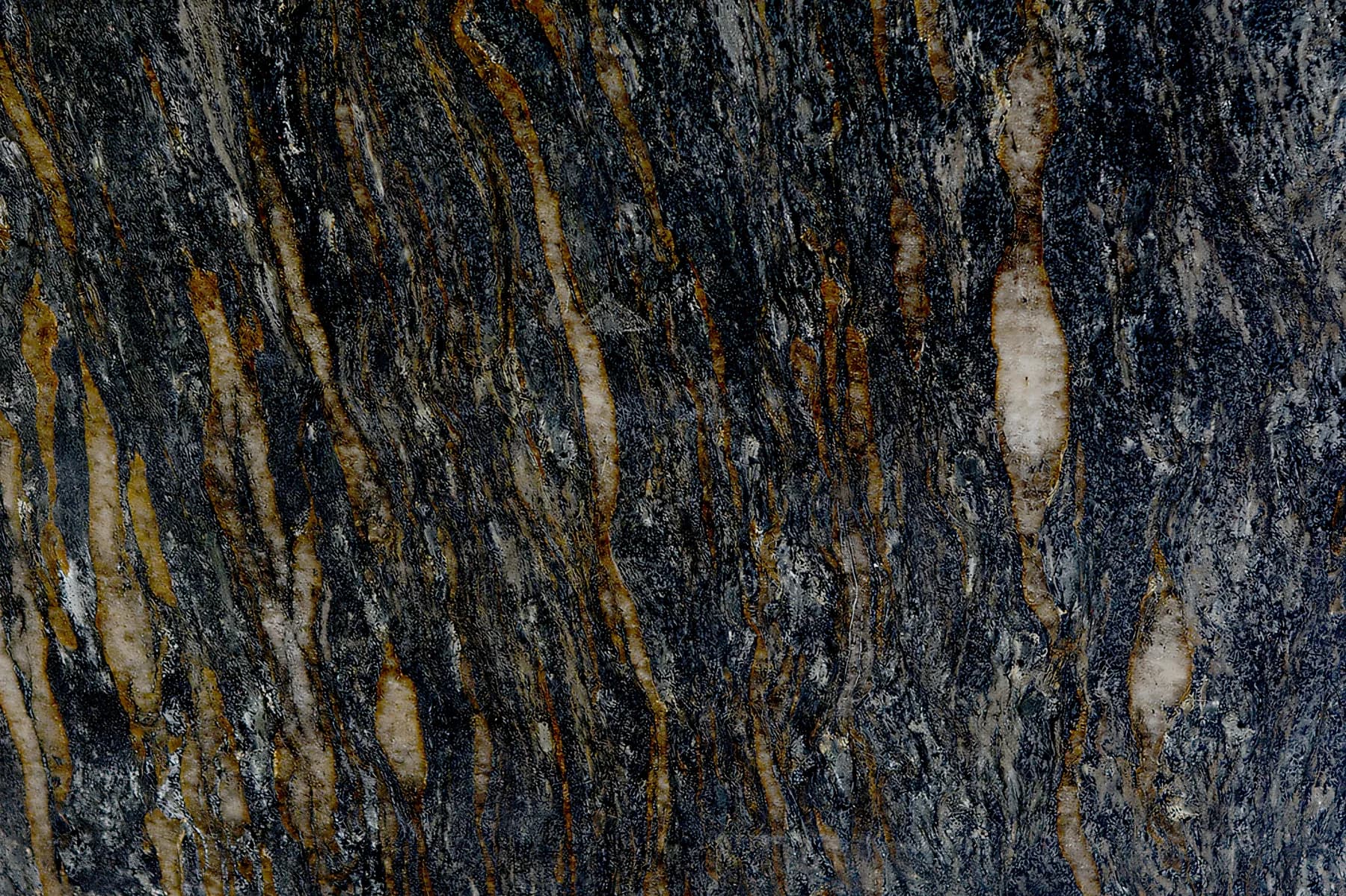 Metalicus Leather