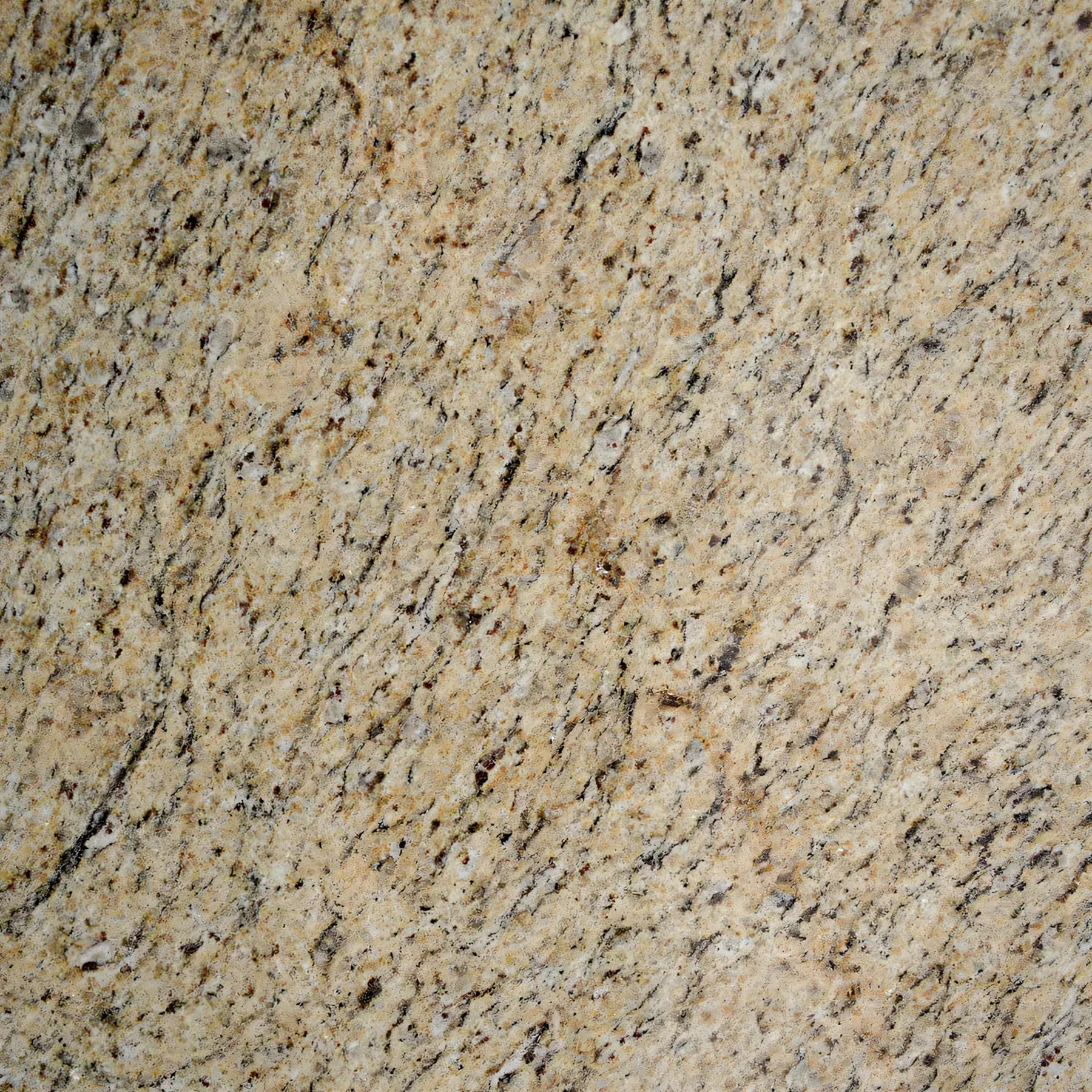 Ornamental Dark
