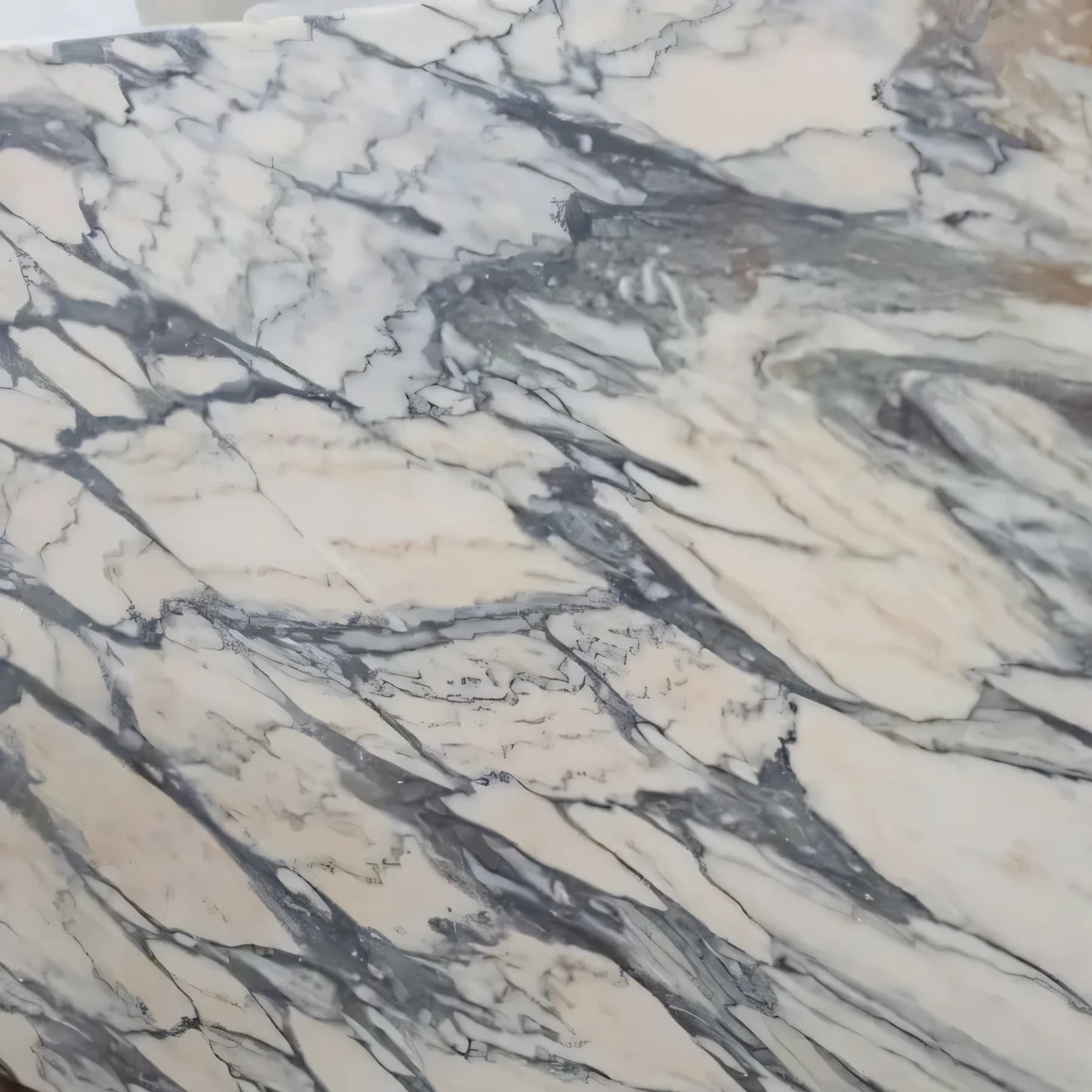 Calacatta Cream