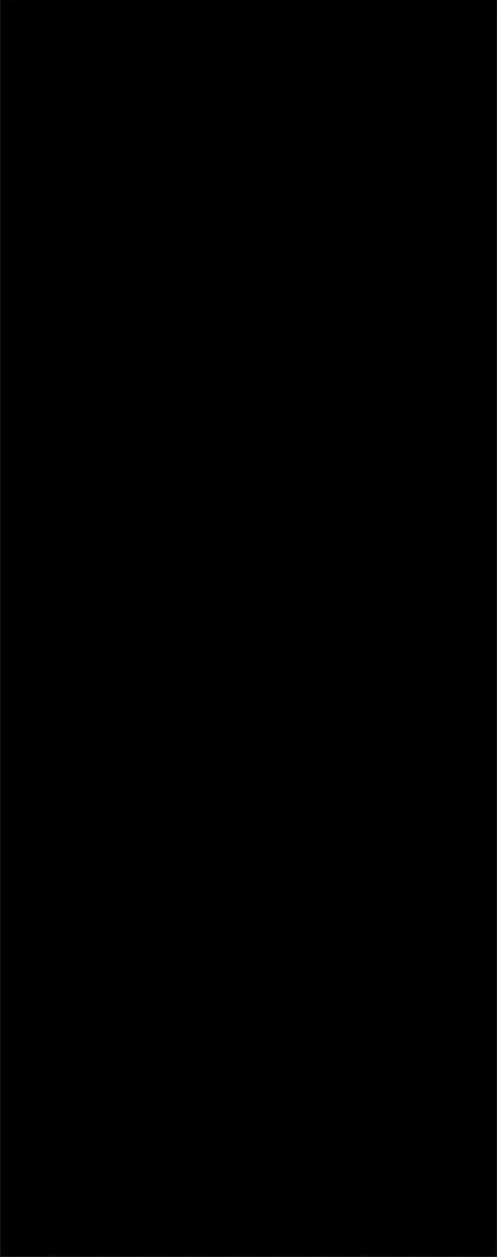 Absolute Black